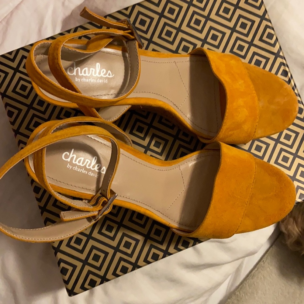 Charles David Wedge Samdals